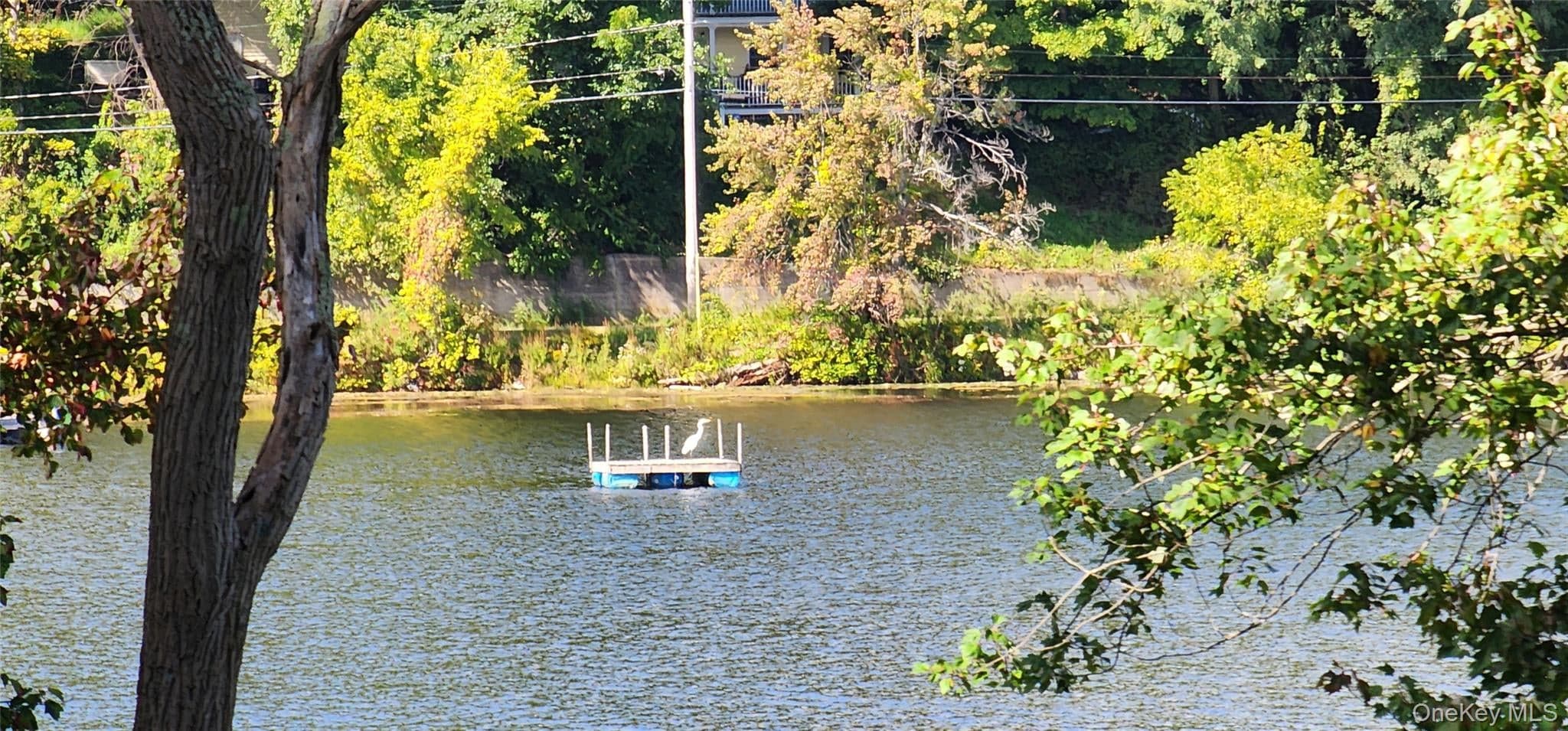 752 Hunns Lake Road thumbnail 38