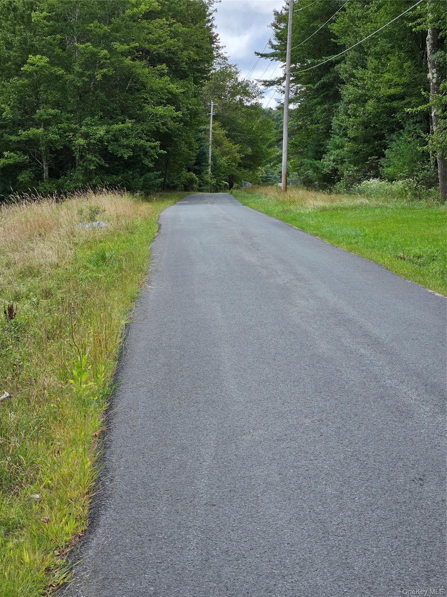 3624 State Route 55 thumbnail 21
