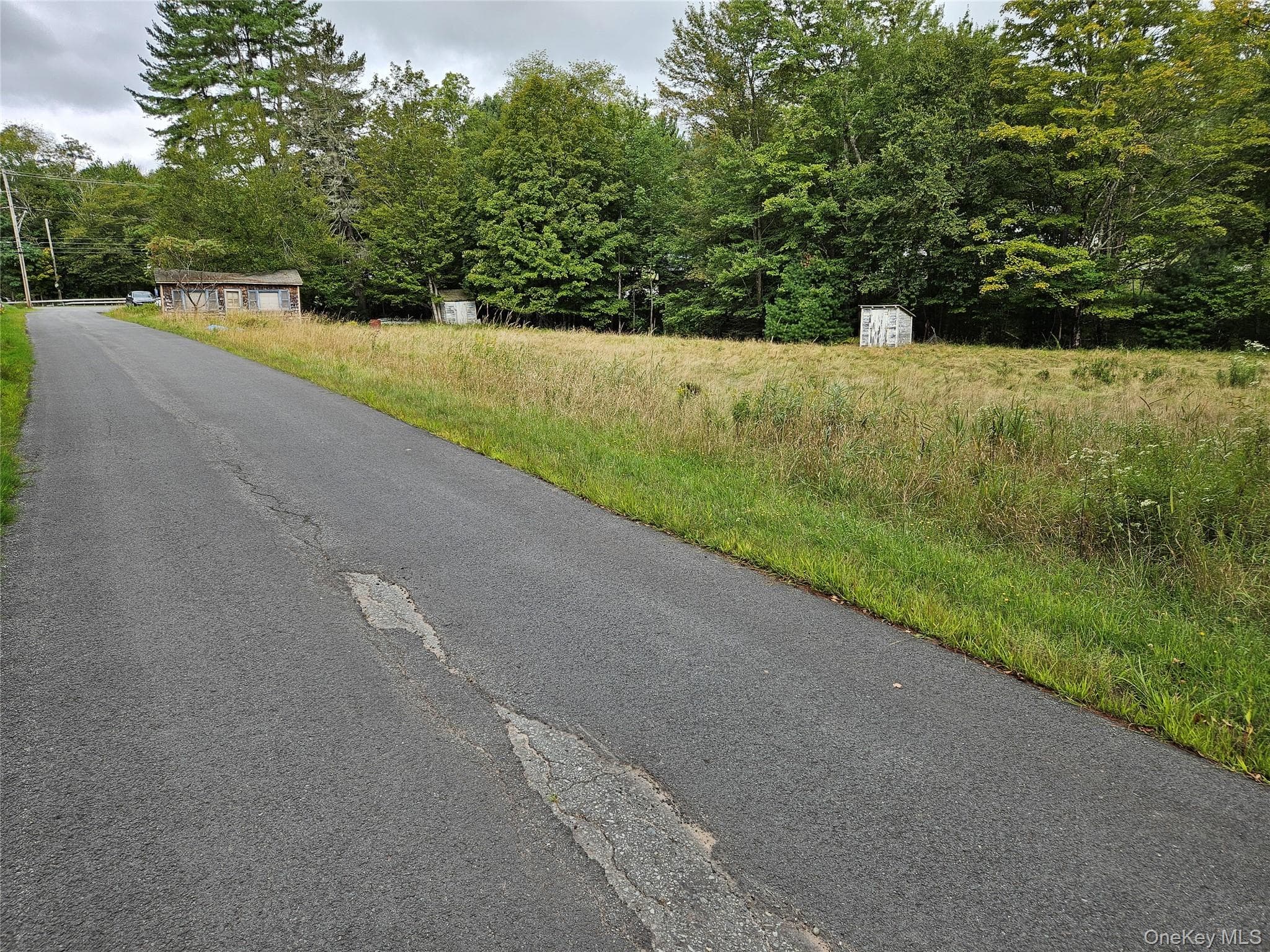 3624 State Route 55 thumbnail 34
