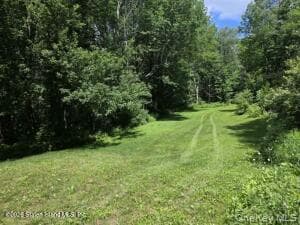 195 Haynes Hollow RD thumbnail 31