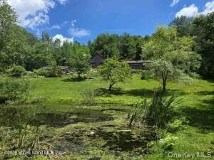 195 Haynes Hollow RD thumbnail 33
