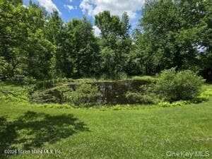 195 Haynes Hollow RD thumbnail 23