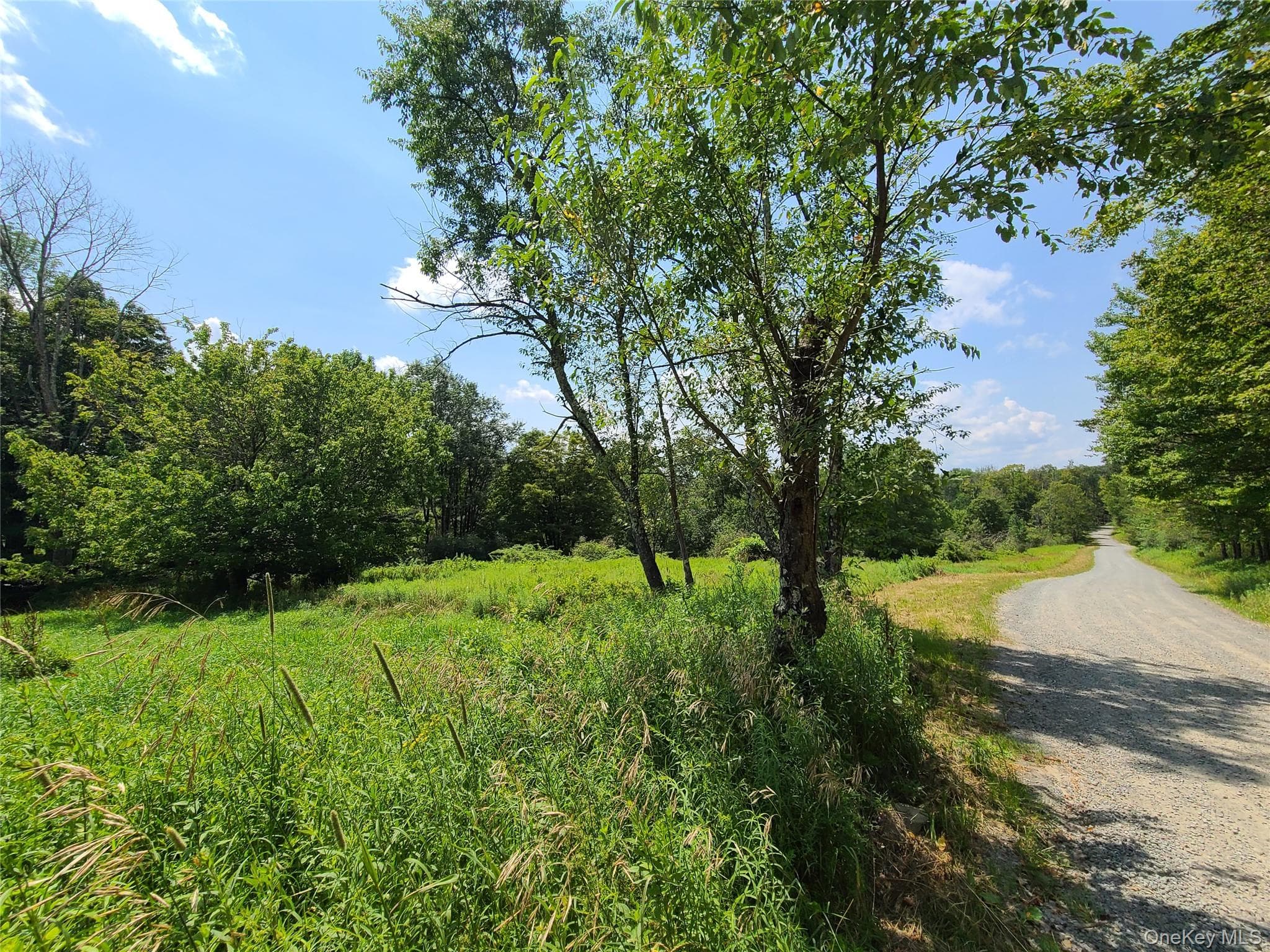 299-301 Stump Pond Road thumbnail 47