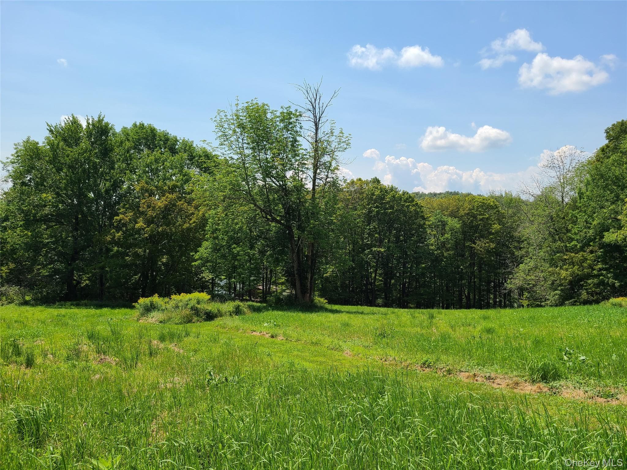 299-301 Stump Pond Road thumbnail 49