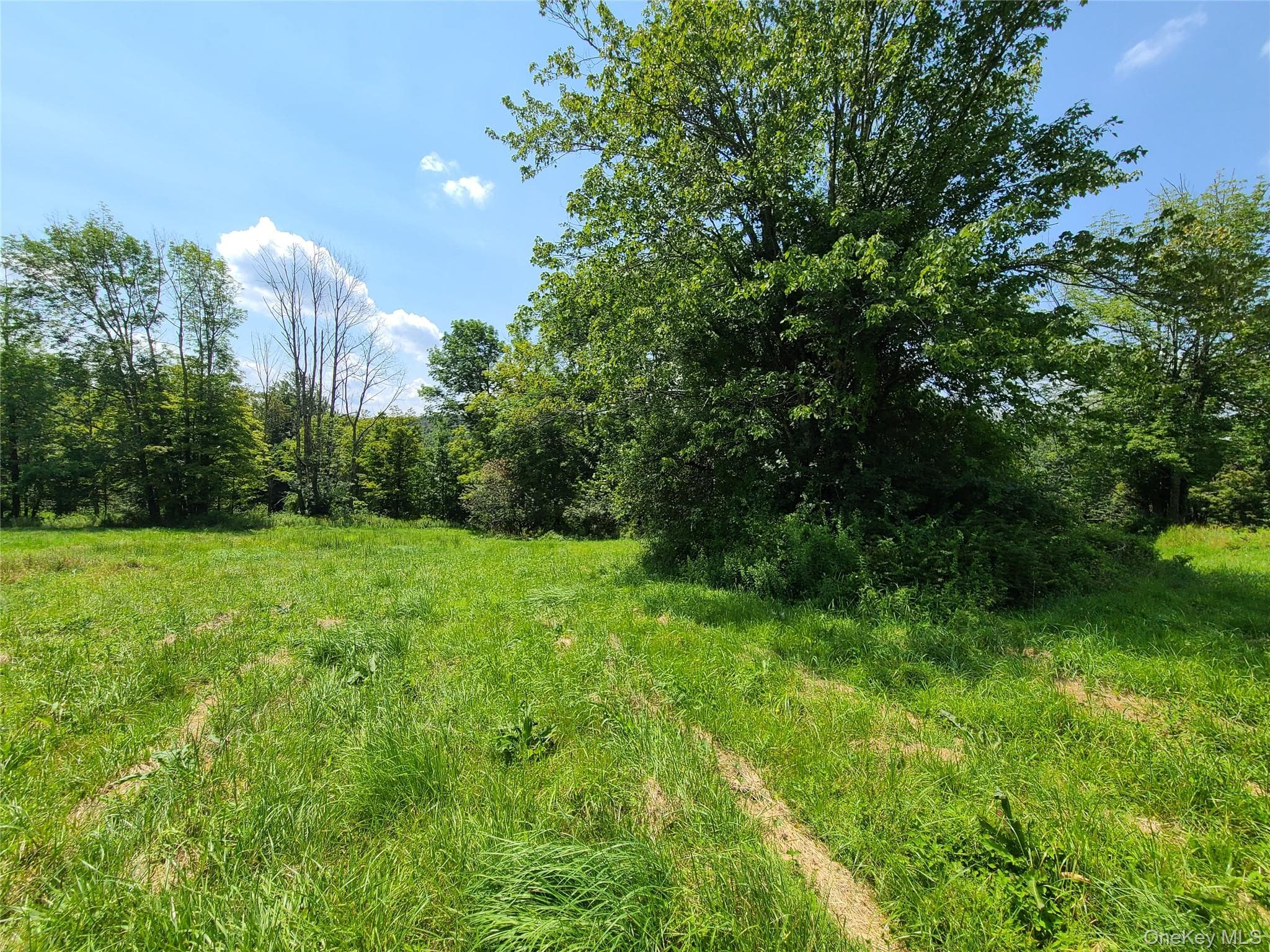 299-301 Stump Pond Road thumbnail 42