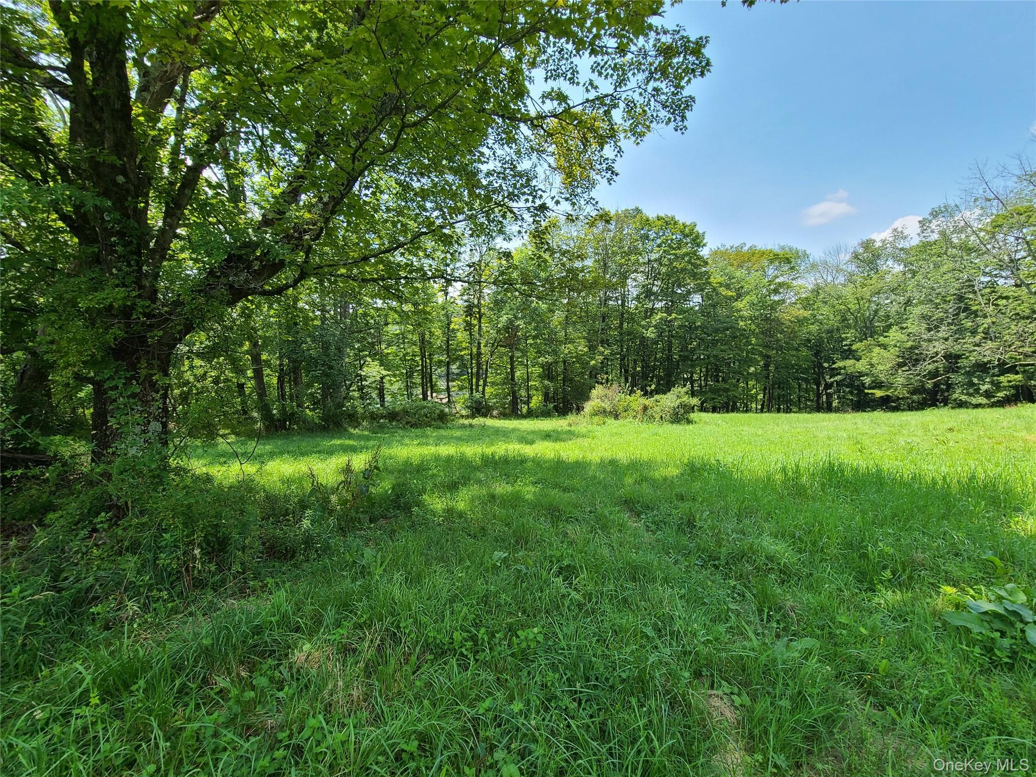 299-301 Stump Pond Road thumbnail 43