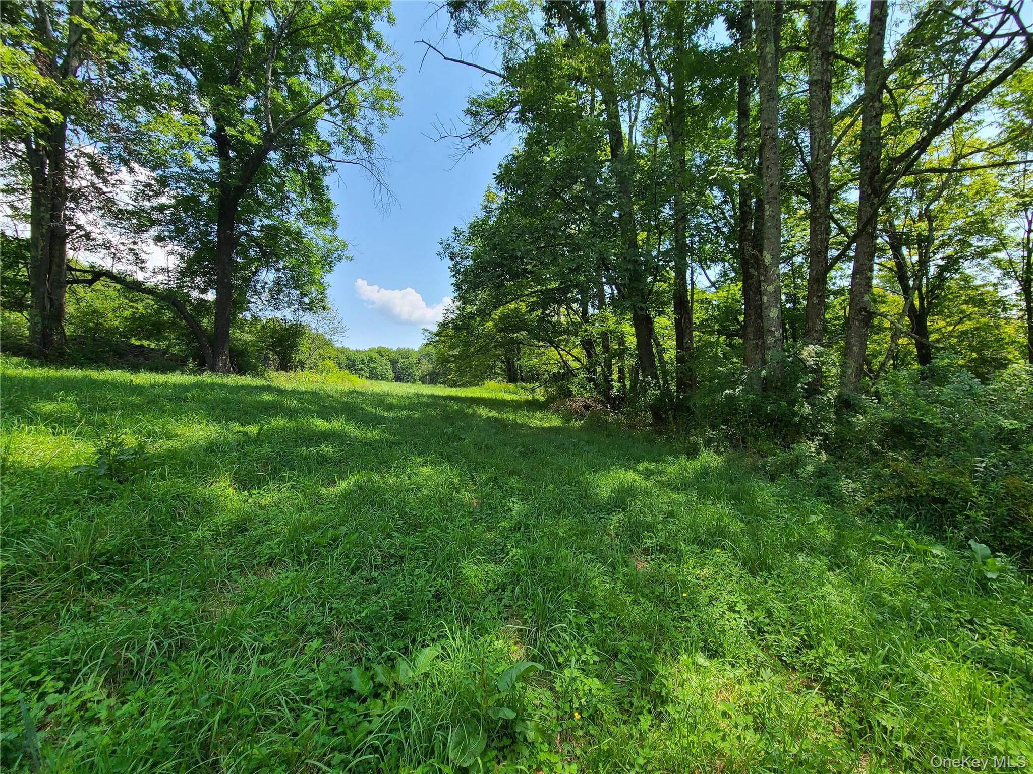 299-301 Stump Pond Road thumbnail 44
