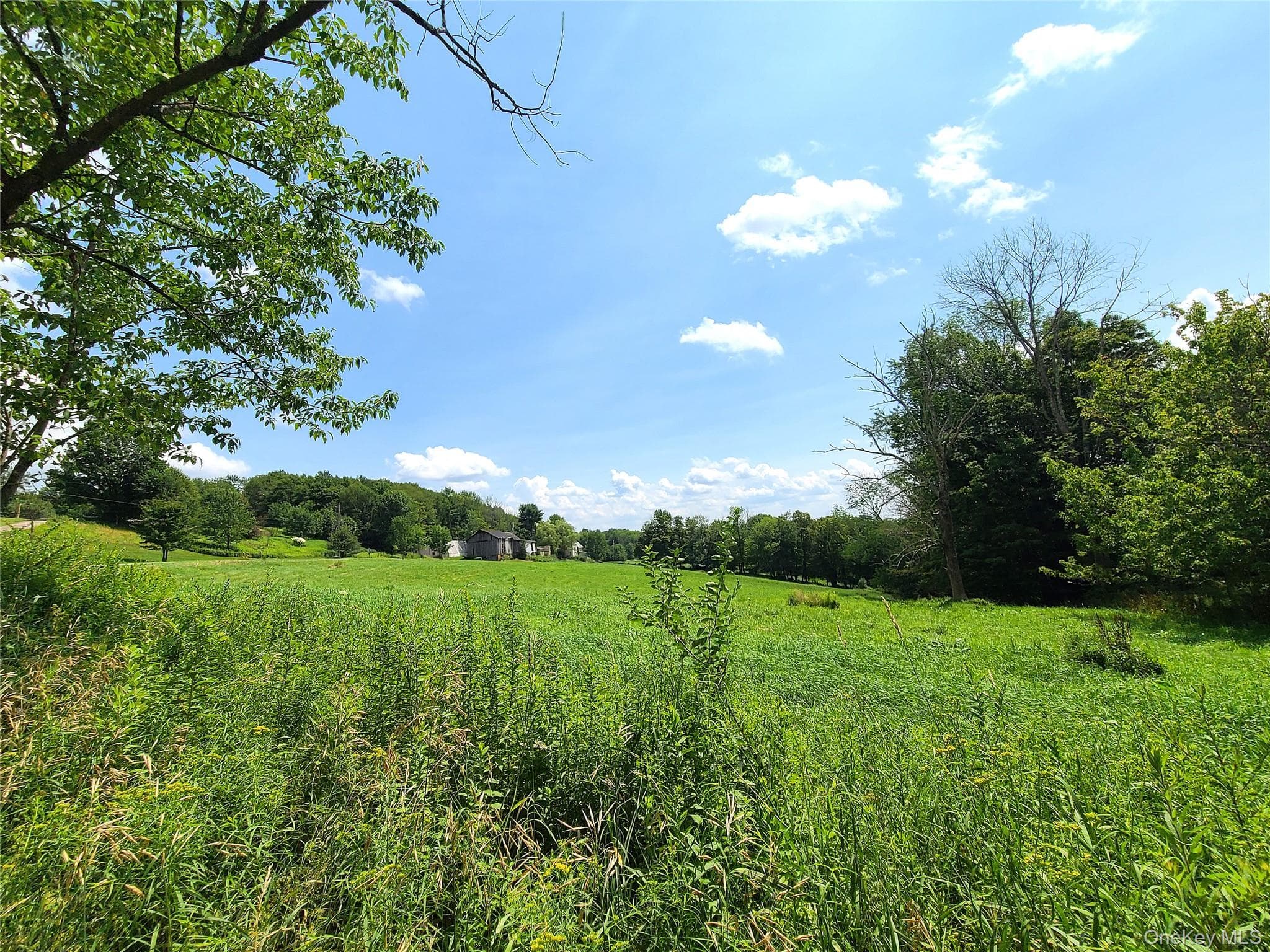 299-301 Stump Pond Road thumbnail 48