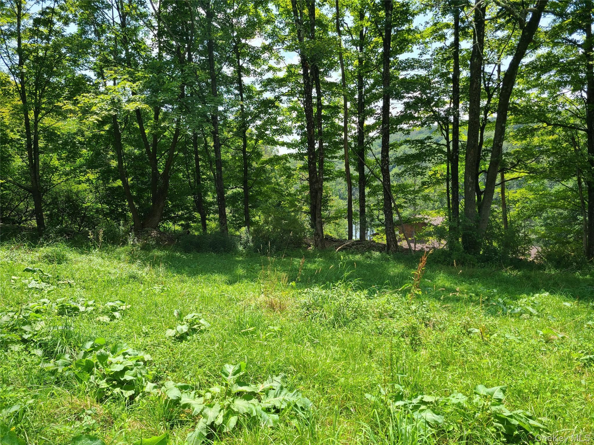 299-301 Stump Pond Road thumbnail 45