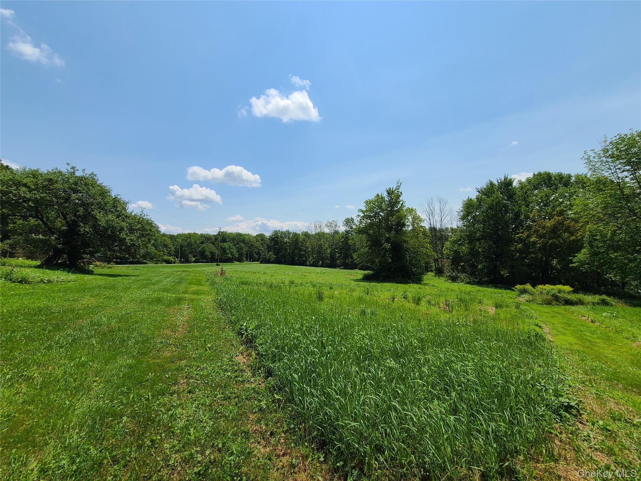 299-301 Stump Pond Road thumbnail 26