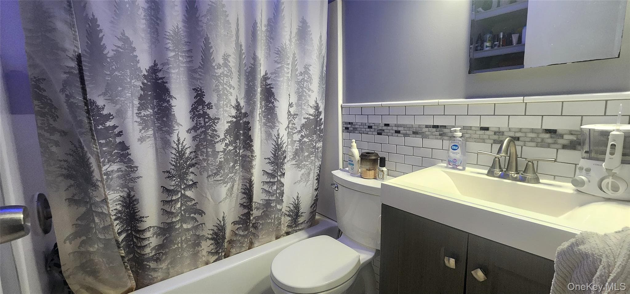 565 Cold Spring Road thumbnail 22