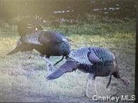 790 Oak Ln thumbnail 19