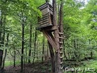 790 Oak Ln thumbnail 13