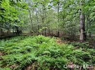790 Oak Ln thumbnail 16
