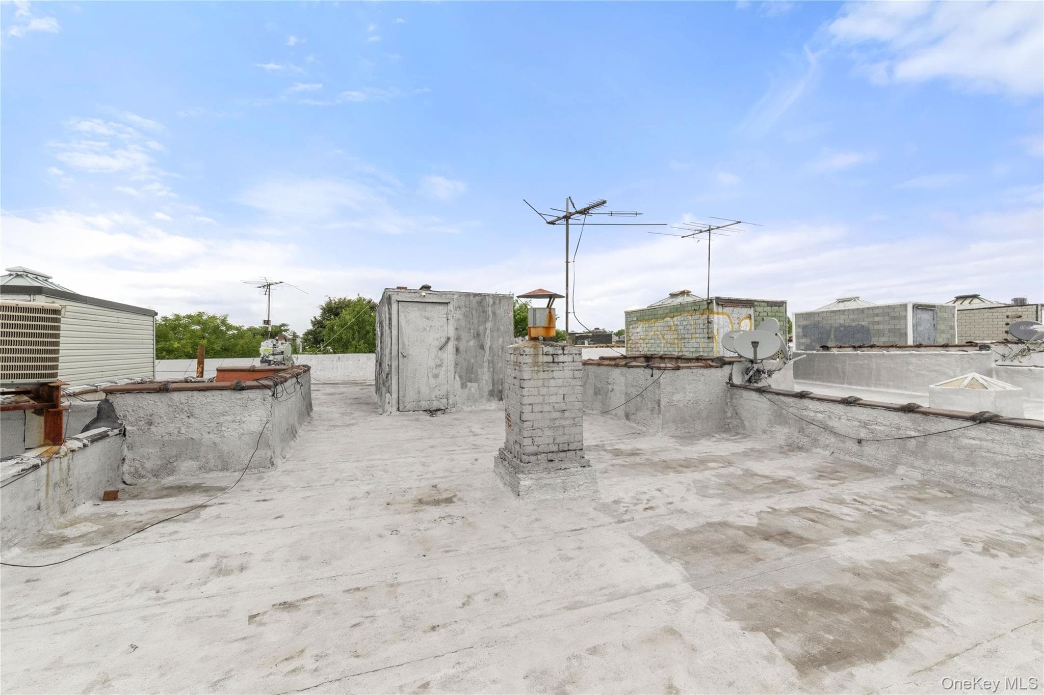 1822 Putnam Avenue thumbnail 18