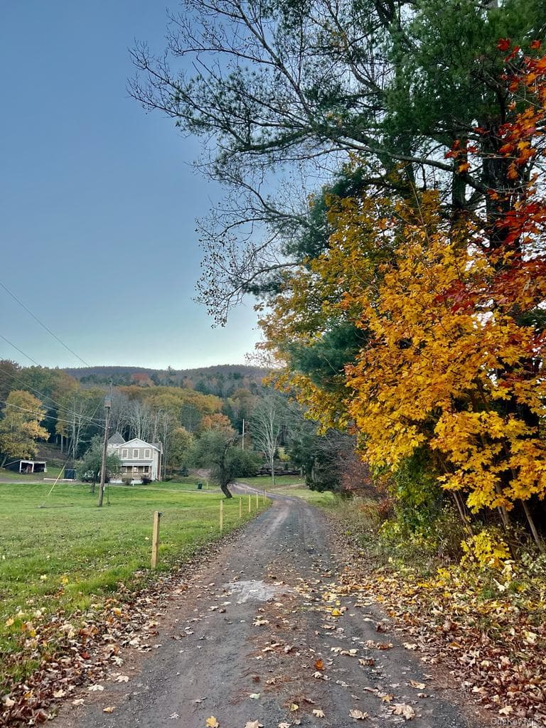 226 State Route 296 thumbnail 35