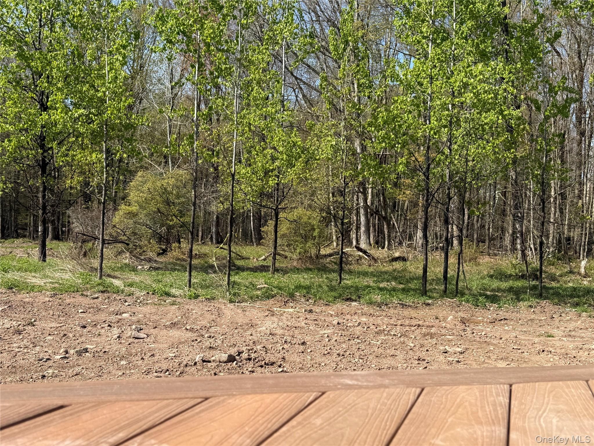 1114 County Road 114 thumbnail 24