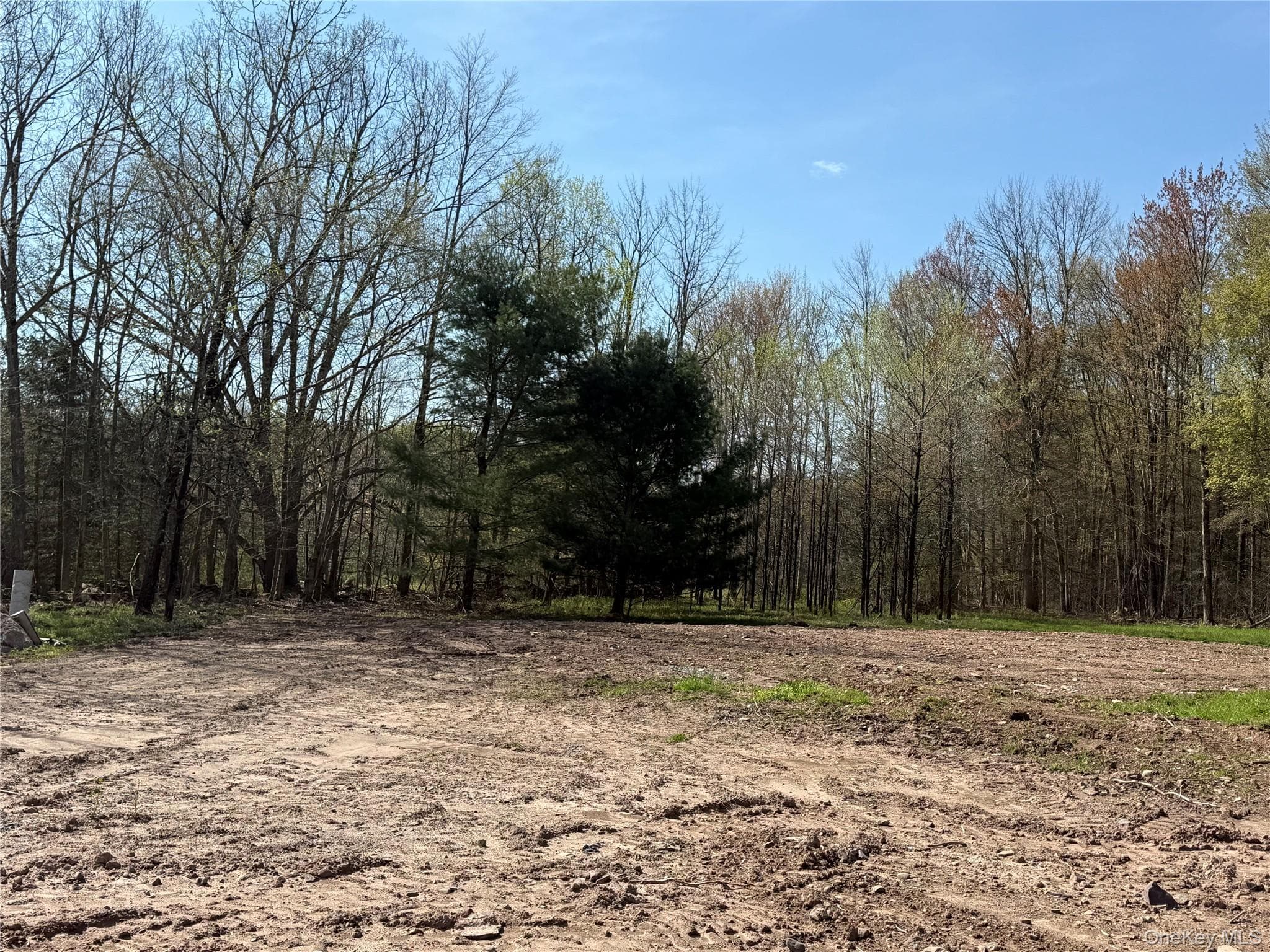 1114 County Road 114 thumbnail 25