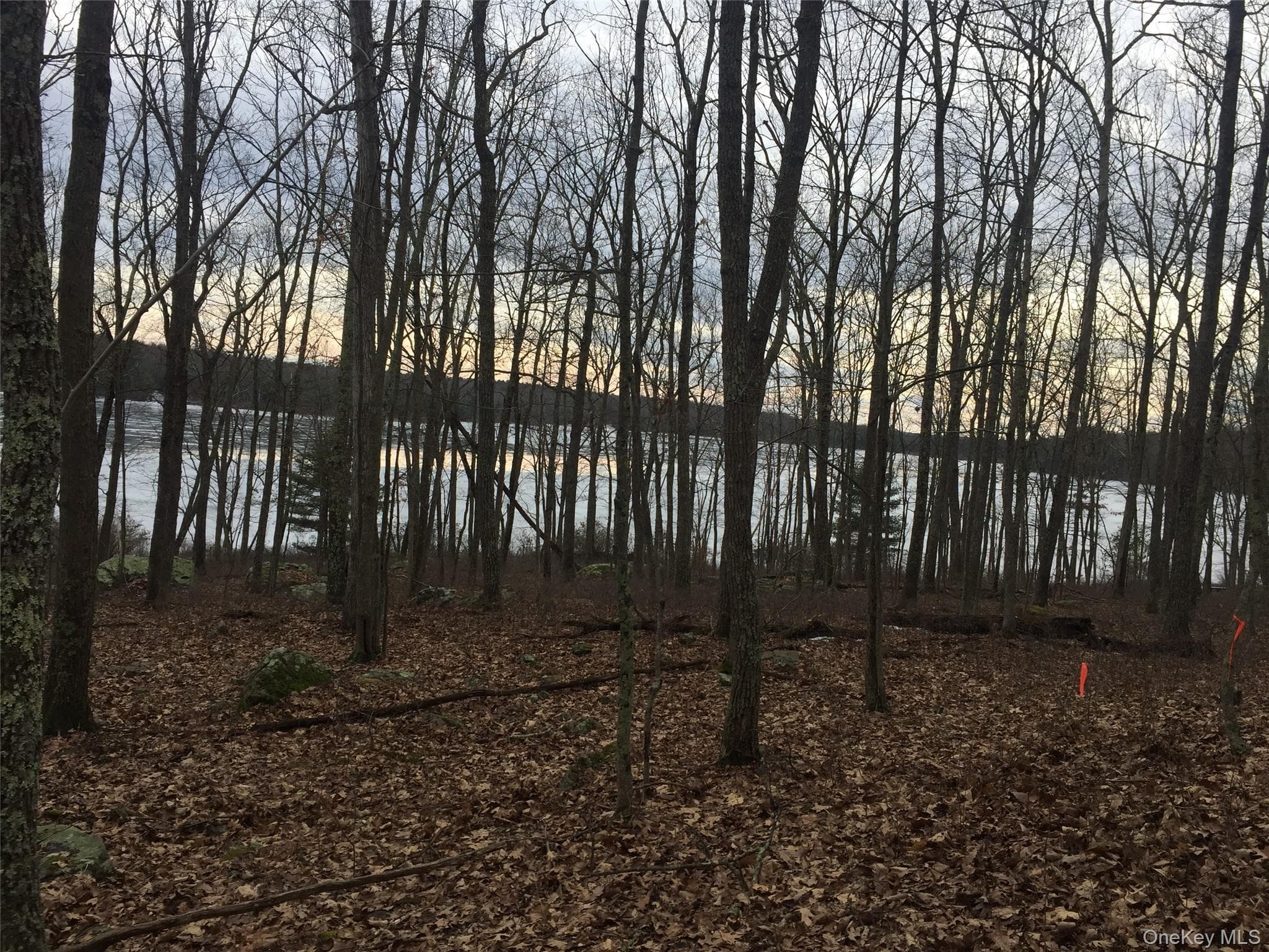 York Lake Estates Road thumbnail 7