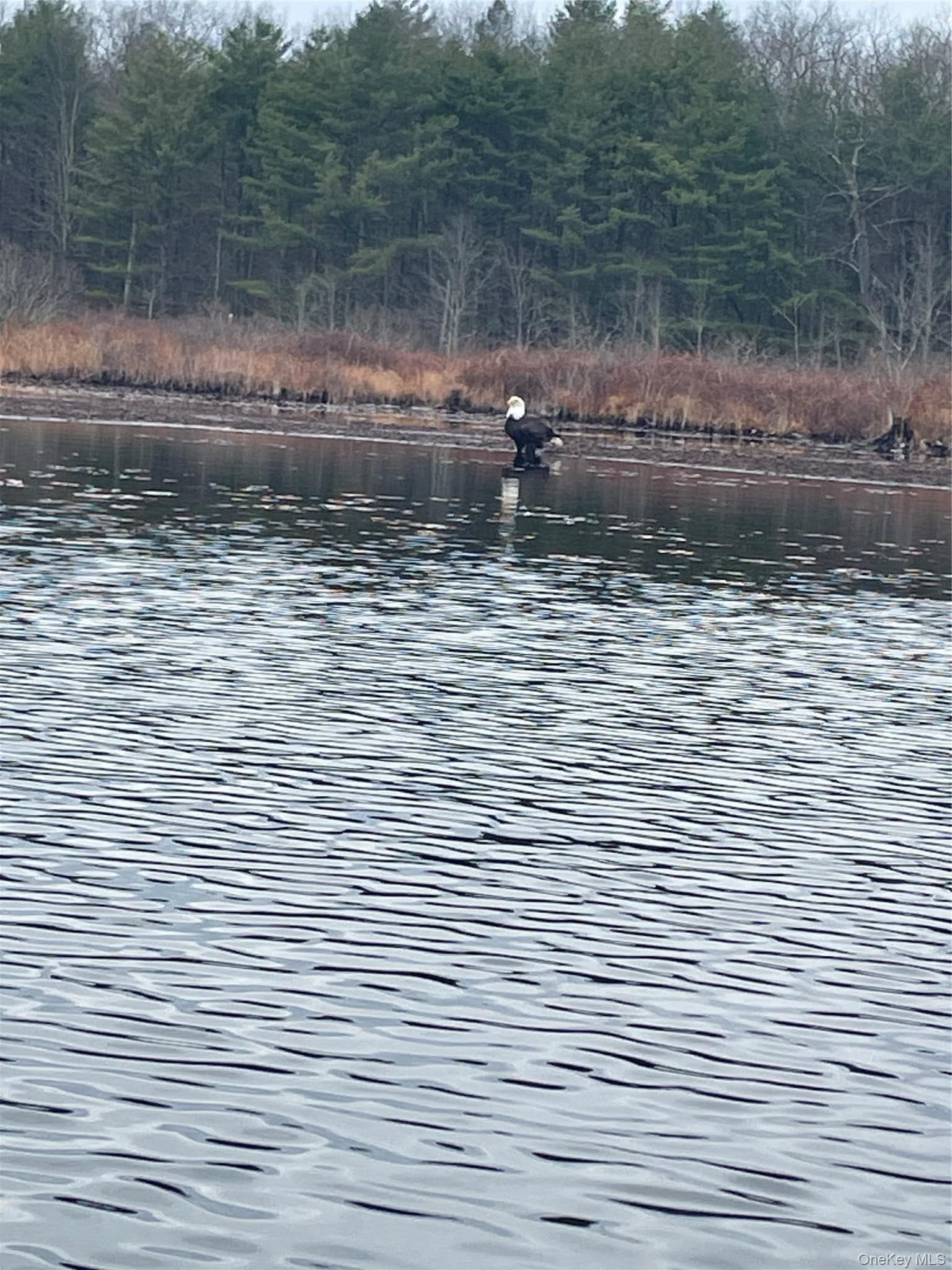 York Lake Estates Road thumbnail 5