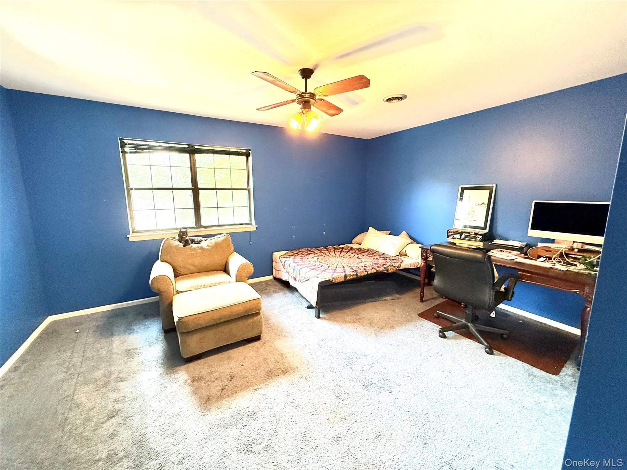 164 Somerset Drive thumbnail 23