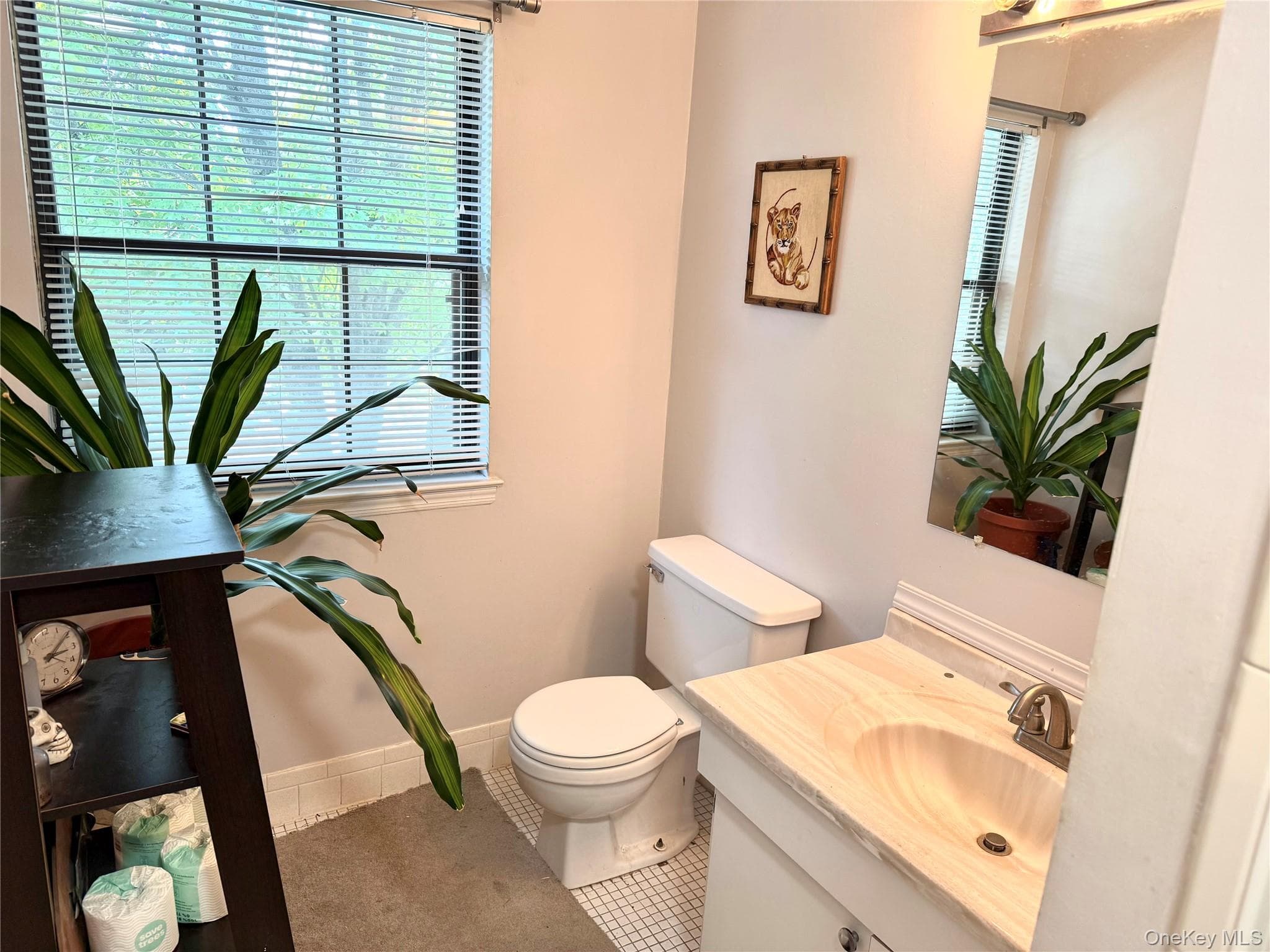 164 Somerset Drive thumbnail 15