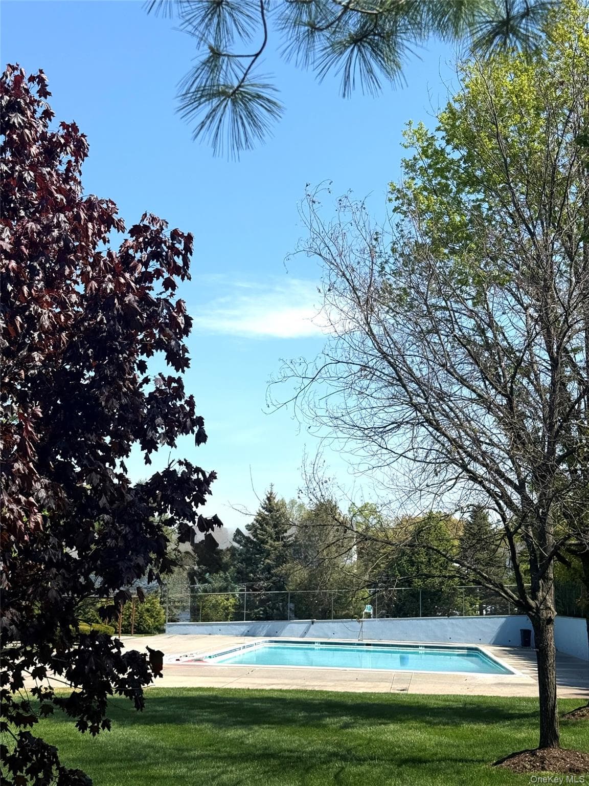 164 Somerset Drive thumbnail 33