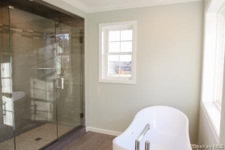 5 James Place thumbnail 14