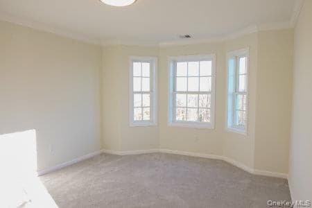 5 James Place thumbnail 10