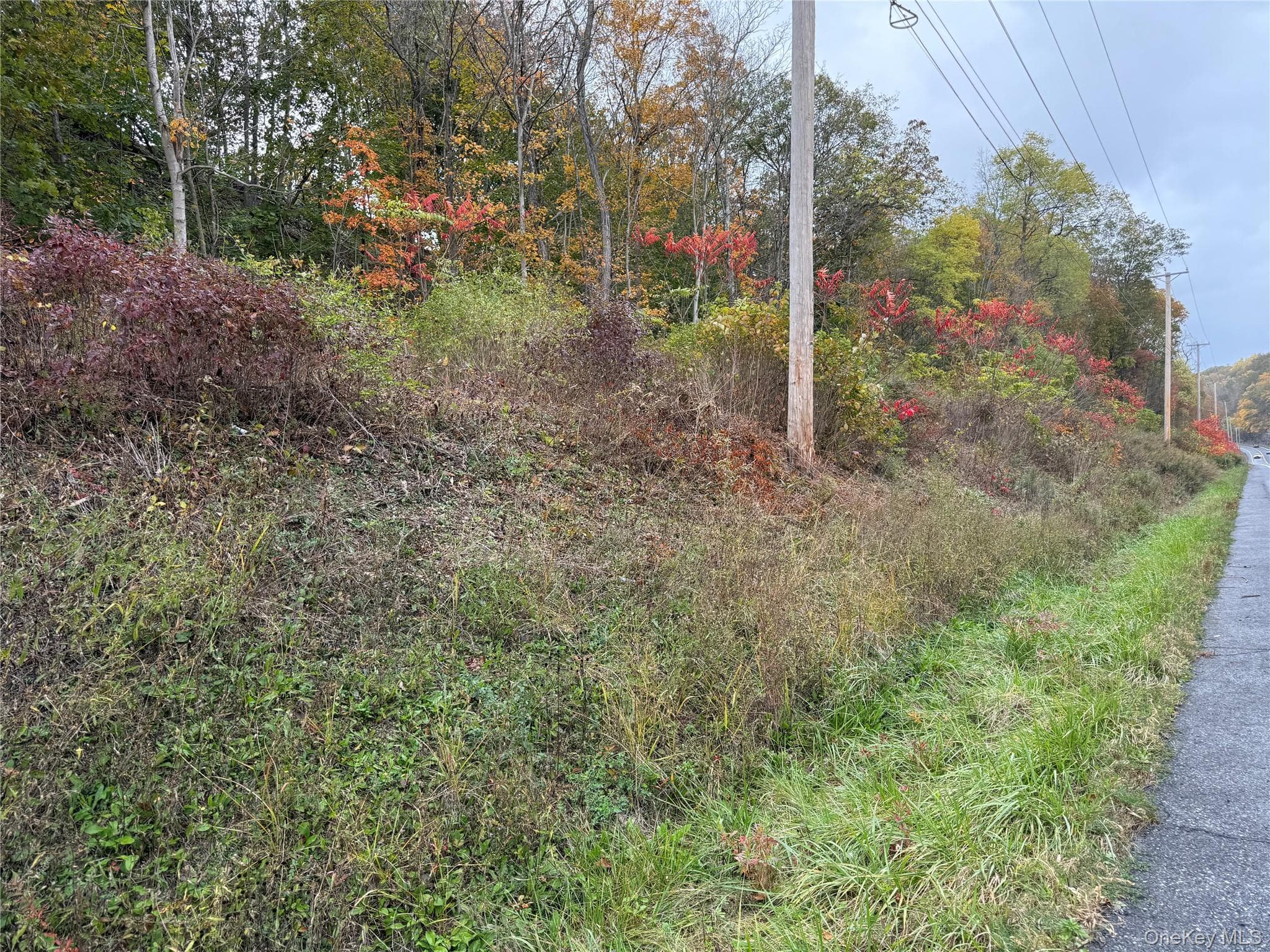 2679 Route 9w thumbnail 5