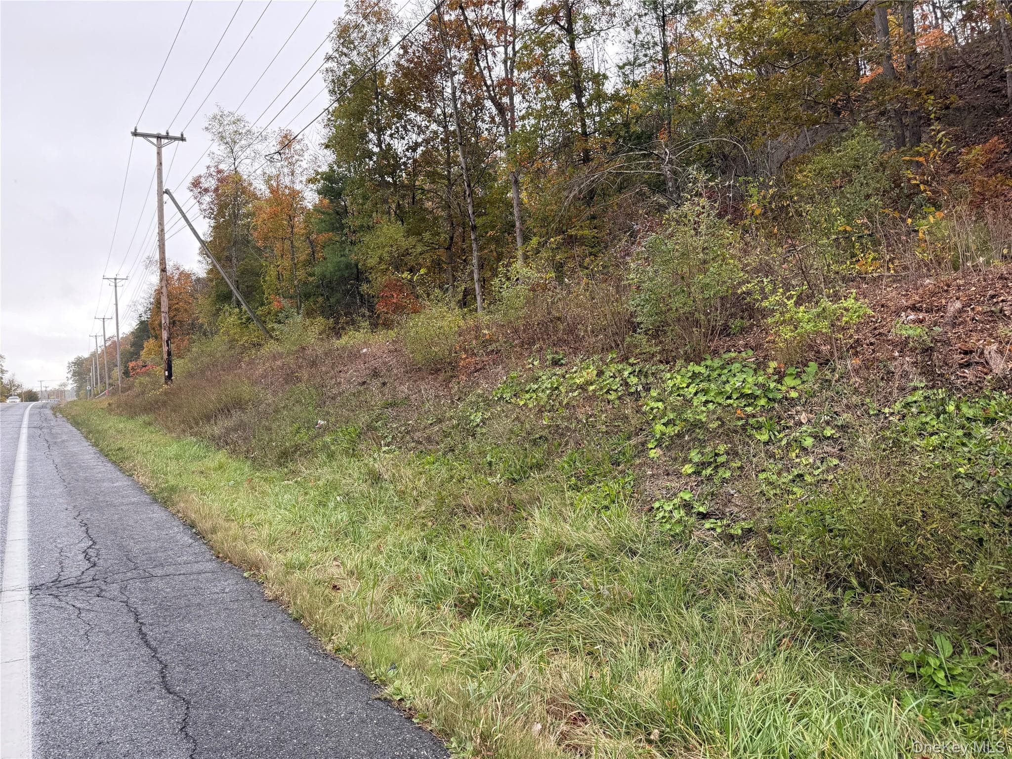 2679 Route 9w thumbnail 6