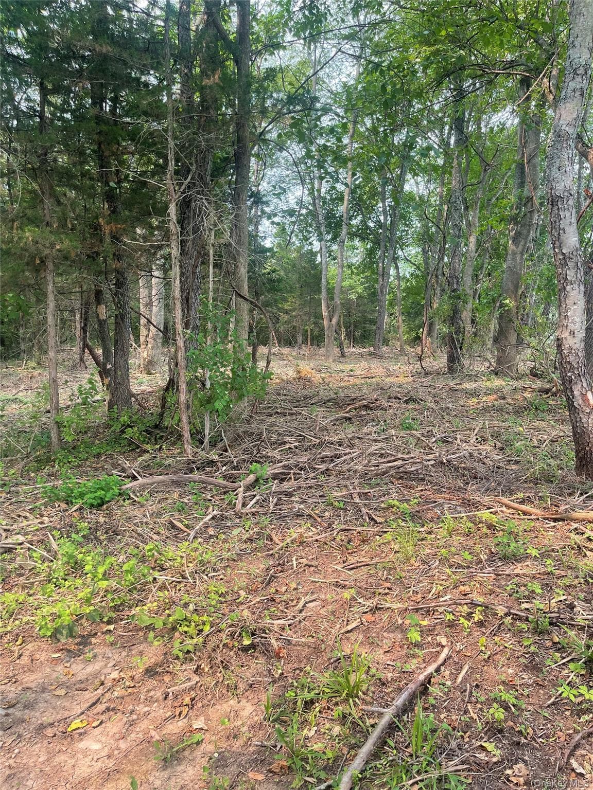 Bells Pond Road thumbnail 4