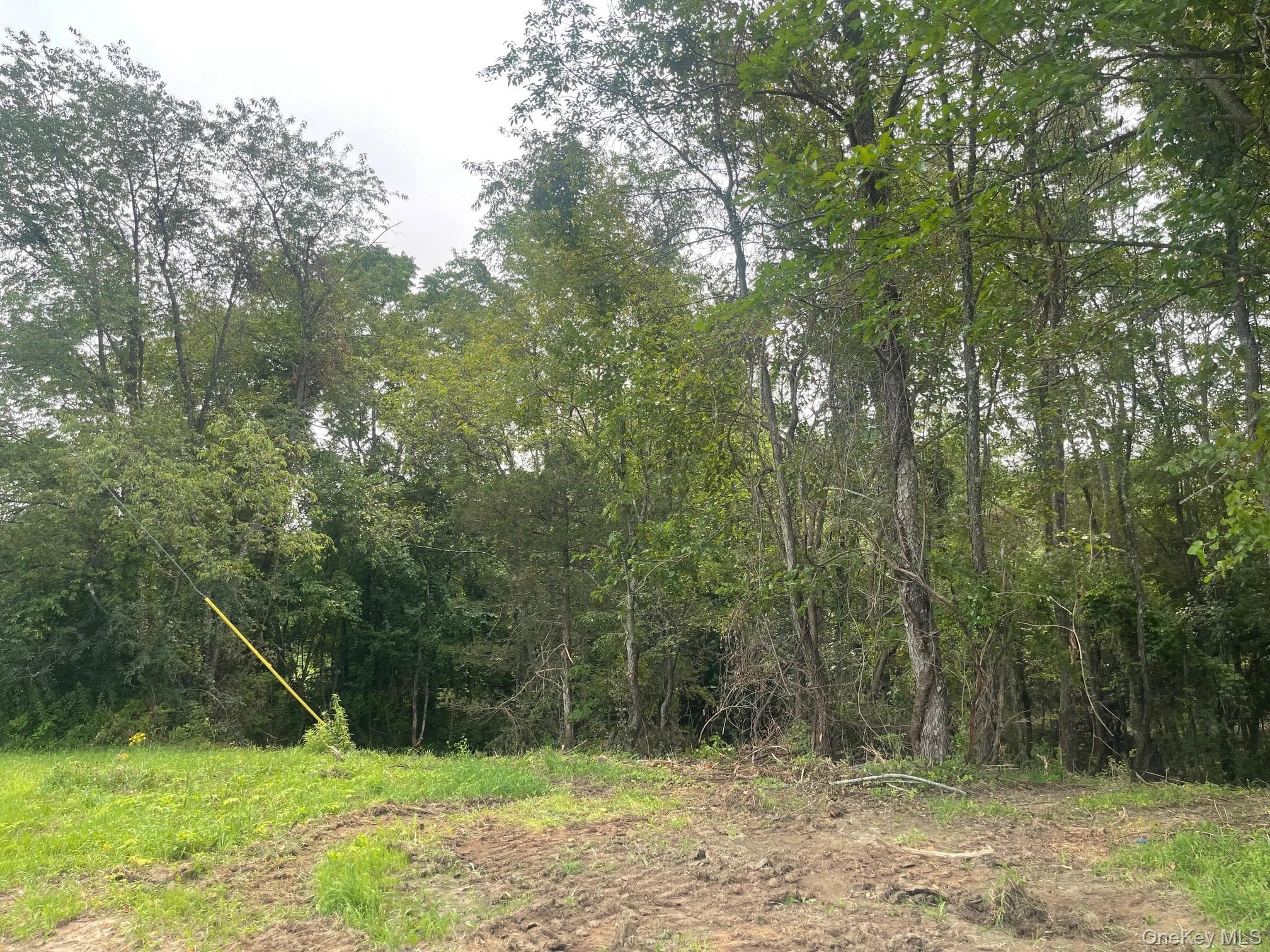 Bells Pond Road thumbnail 26