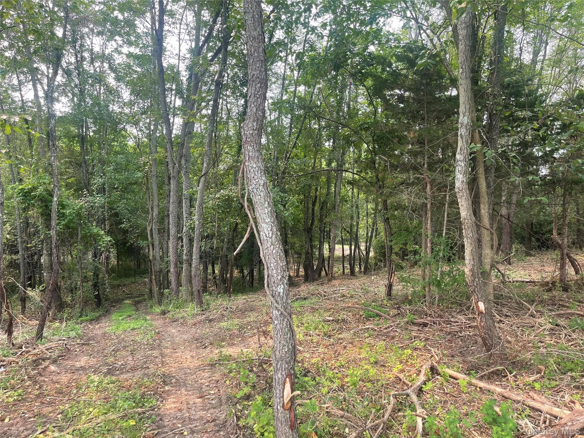 Bells Pond Road thumbnail 3