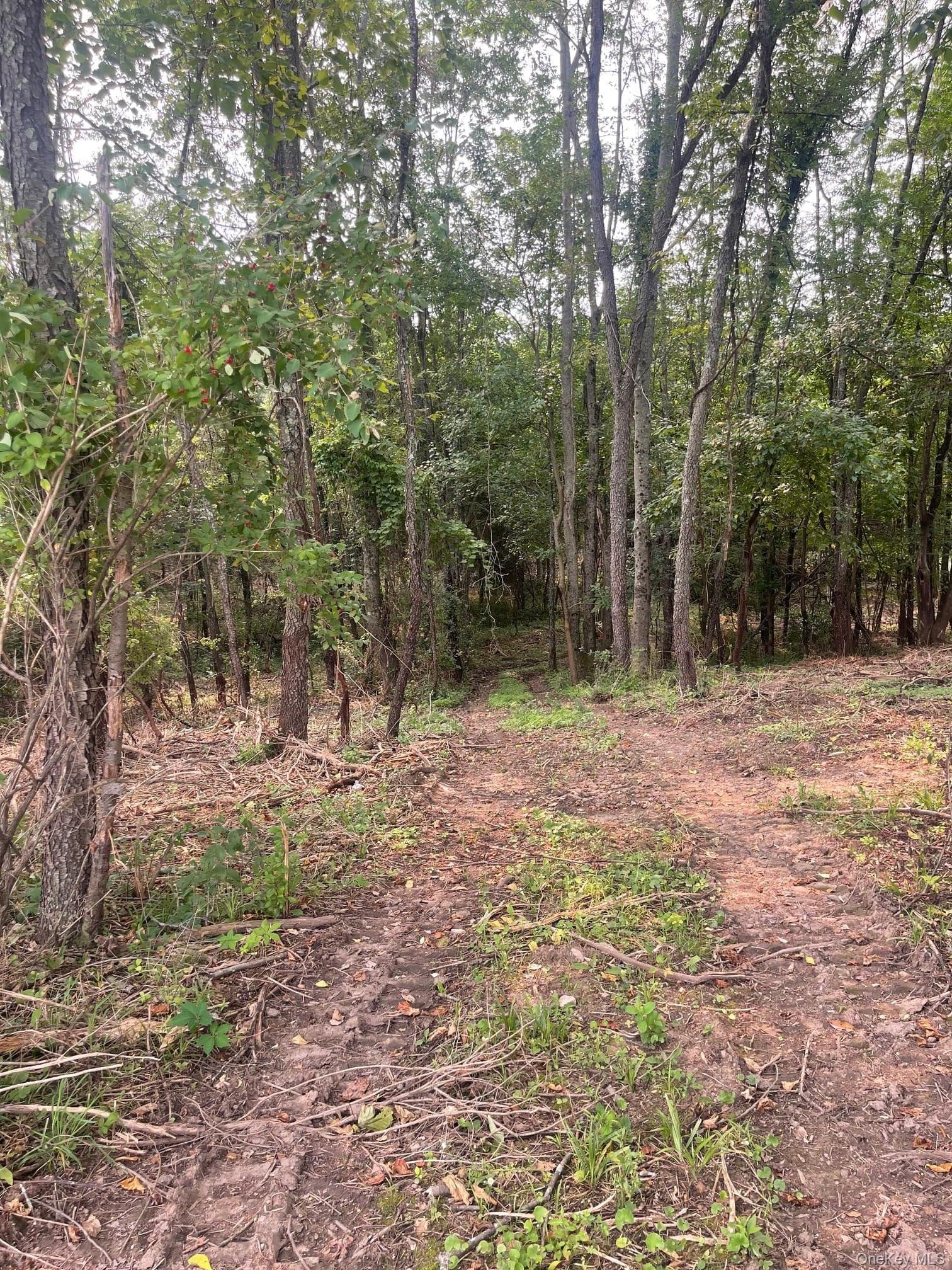 Bells Pond Road thumbnail 25