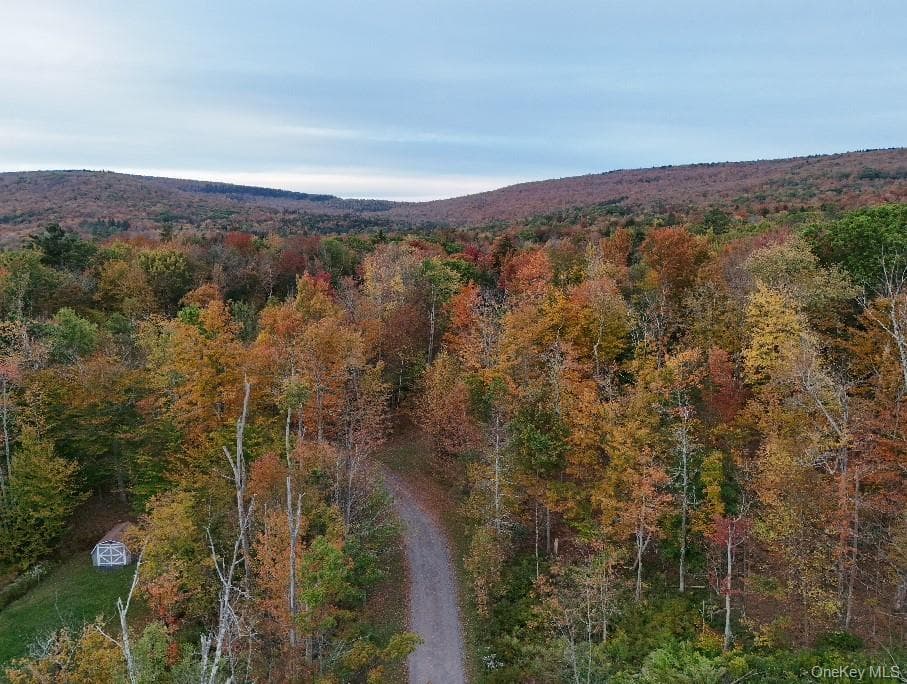 TBD Kornell Drive, Haines Falls