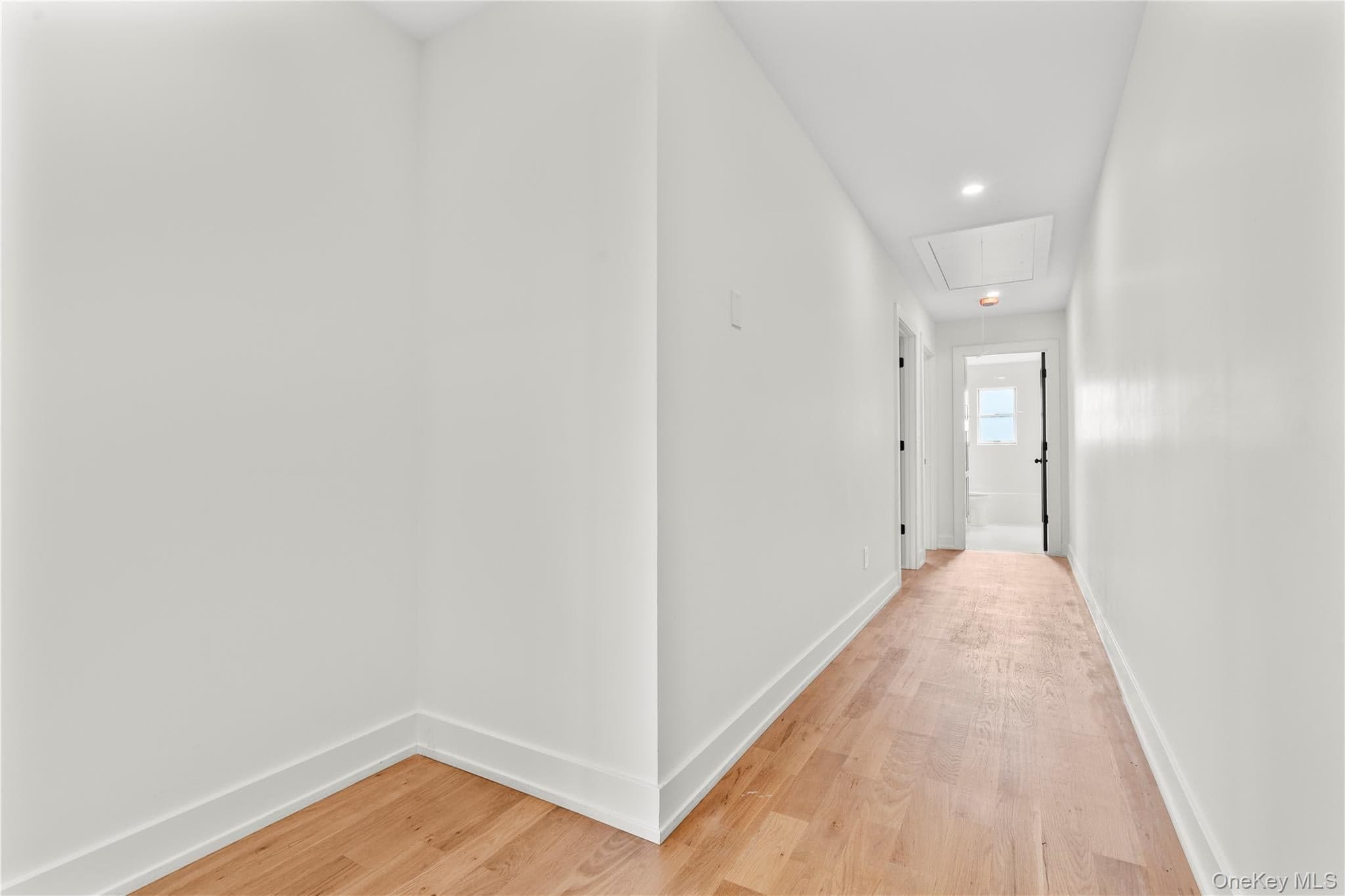 230 Trenchard Street thumbnail 14