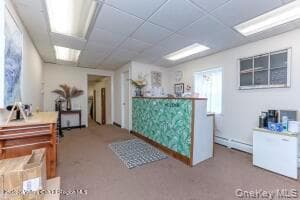 141 Ulster Avenue thumbnail 11
