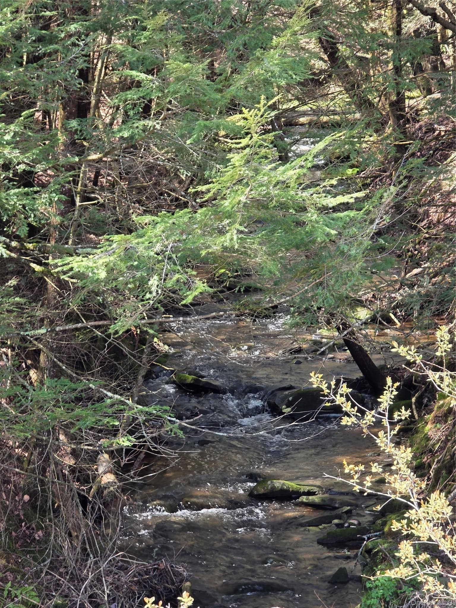 Highview Acres thumbnail 4