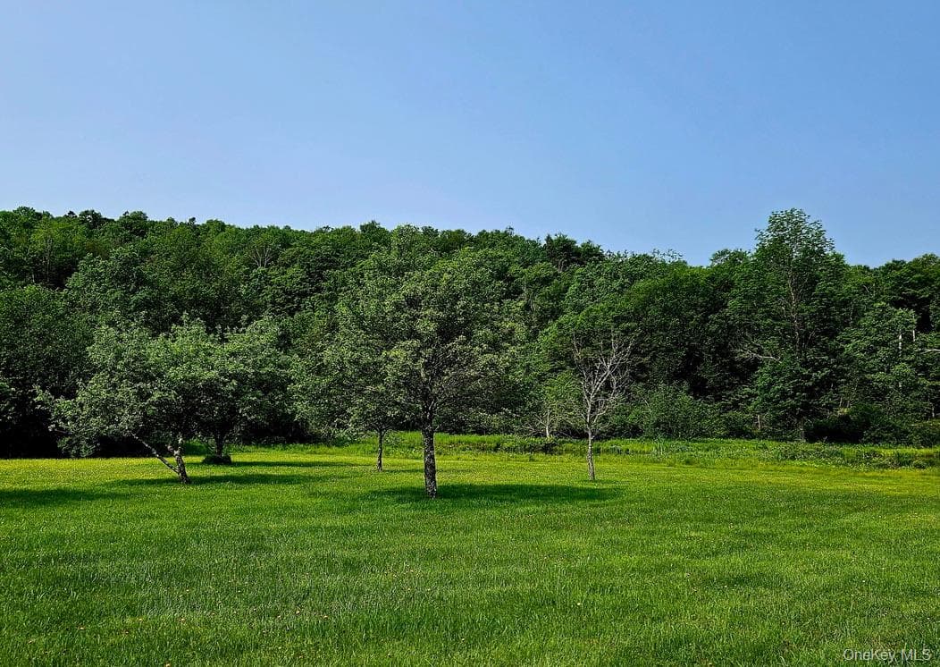 141 Bonnie Brook Road thumbnail 4