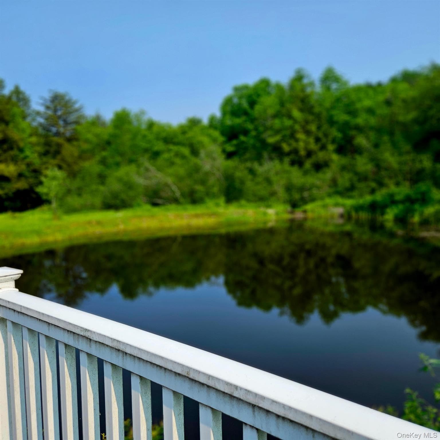 141 Bonnie Brook Road thumbnail 6