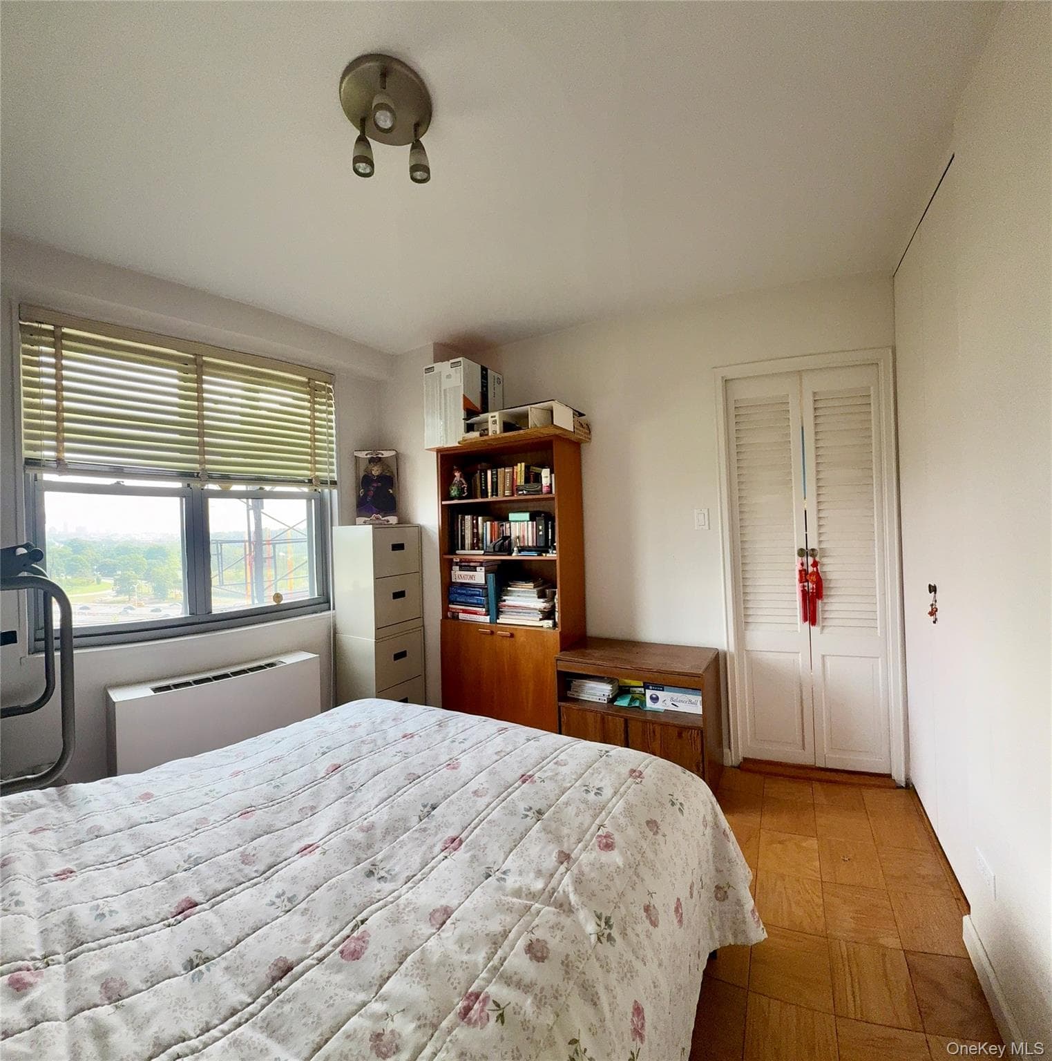 61-20 Grand Central Parkway Unit: A 1002 thumbnail 11