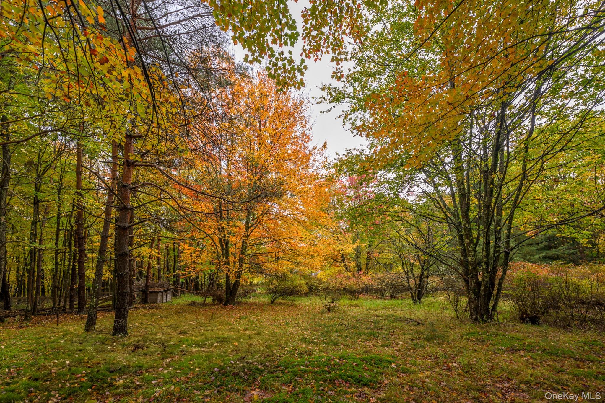 1013 Plank Road RD thumbnail 25