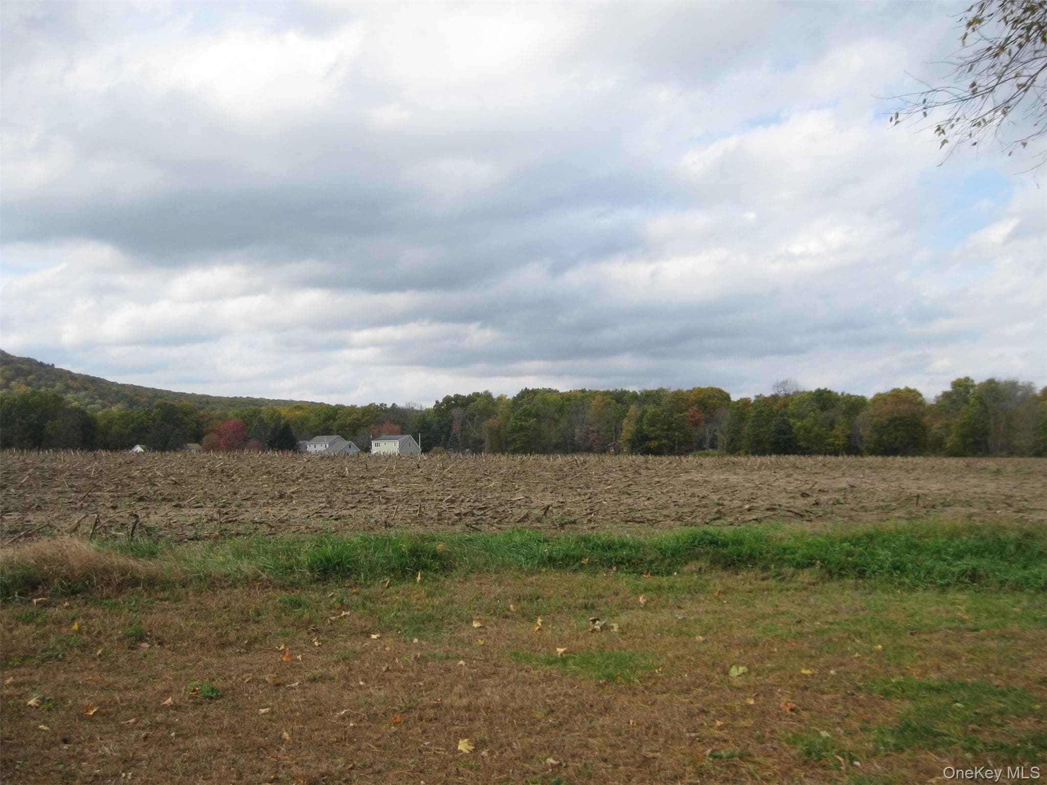 82 Lake Road thumbnail 35