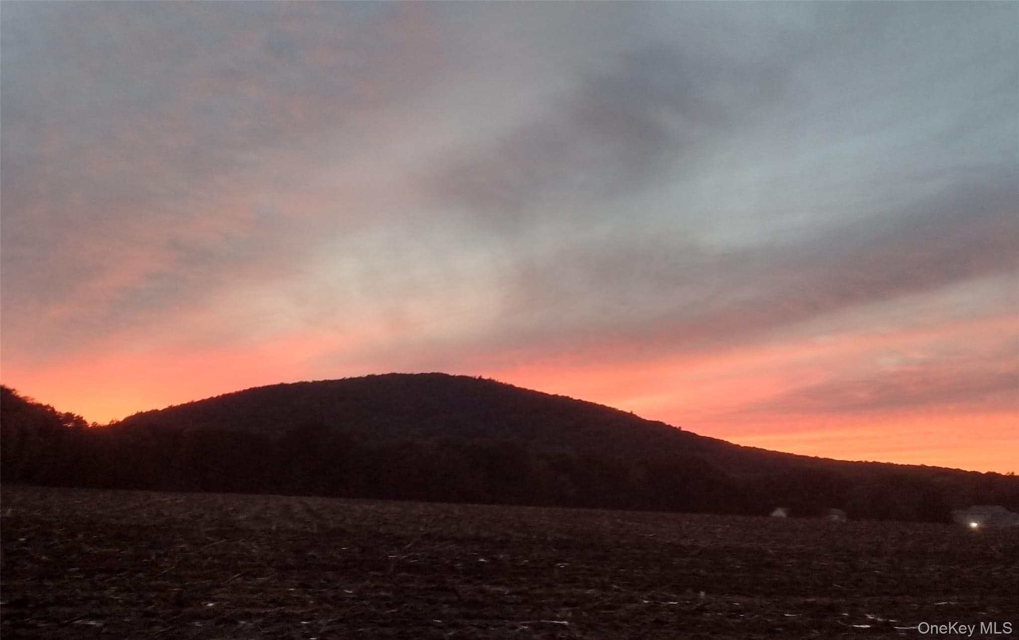 82 Lake Road thumbnail 36