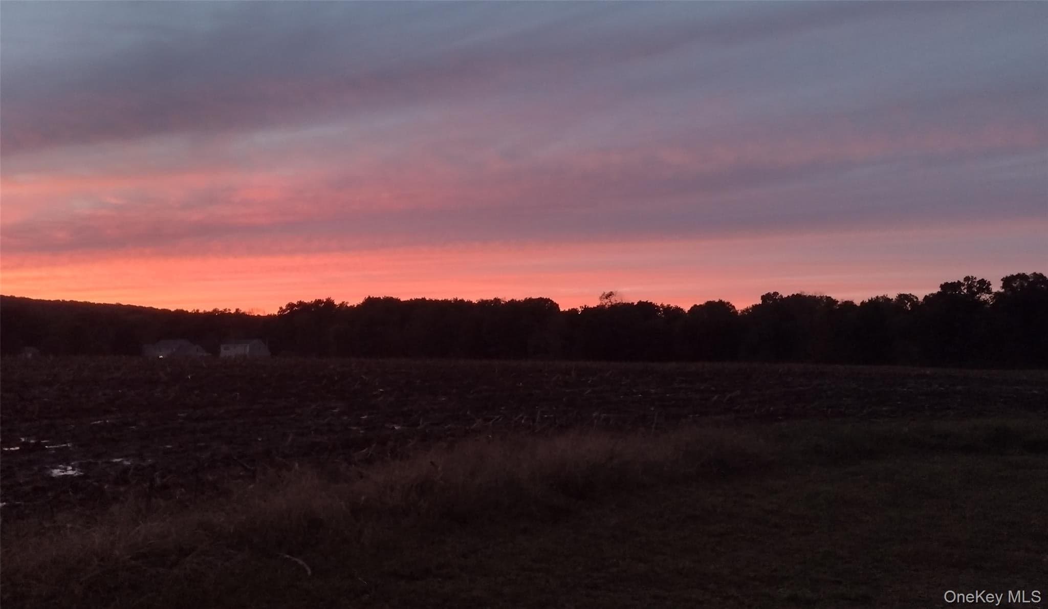 82 Lake Road thumbnail 38