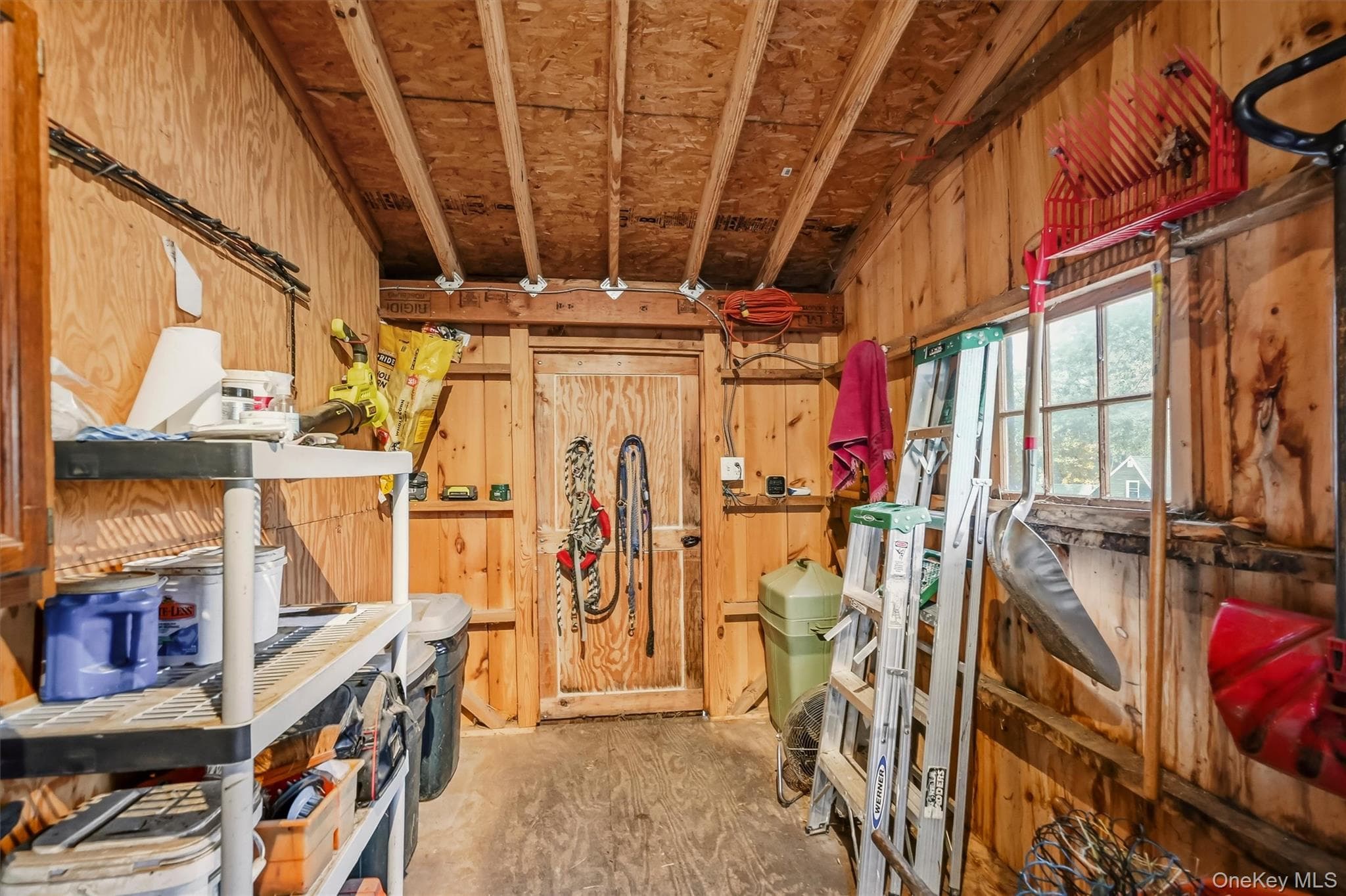 85 Foster Road thumbnail 28
