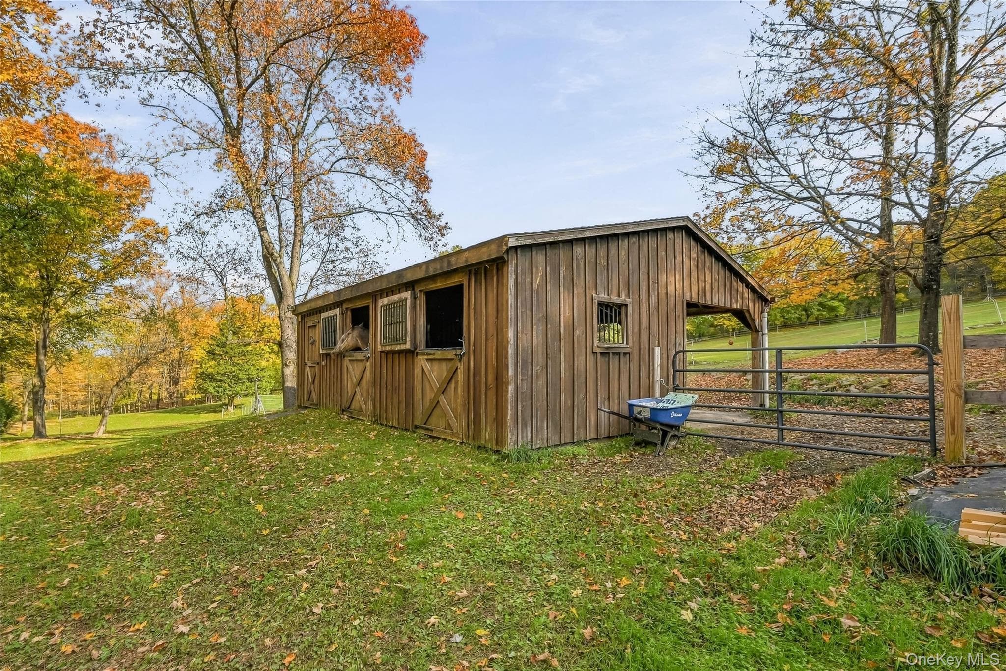 85 Foster Road thumbnail 23