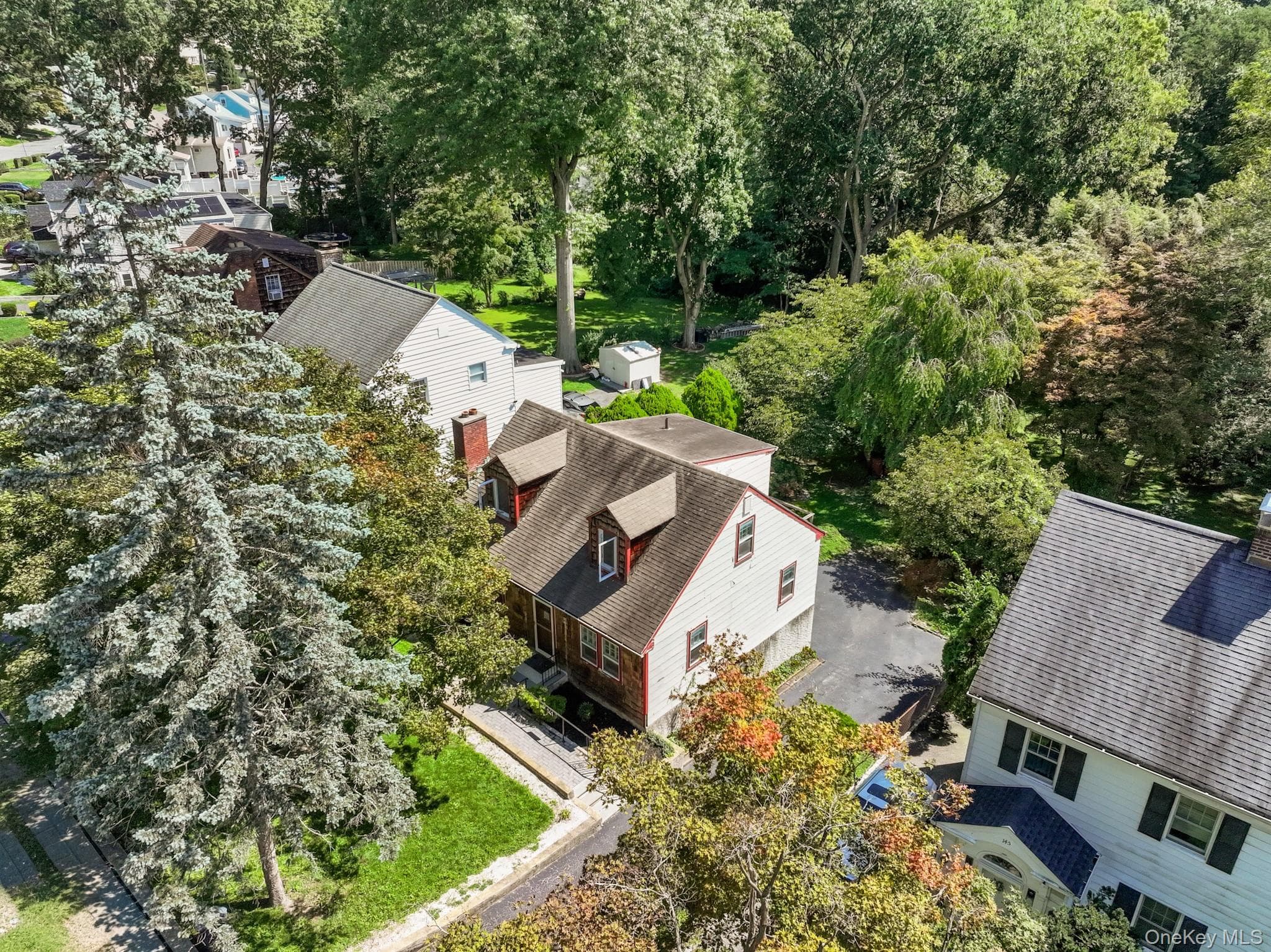 141 Homewood Avenue thumbnail 2