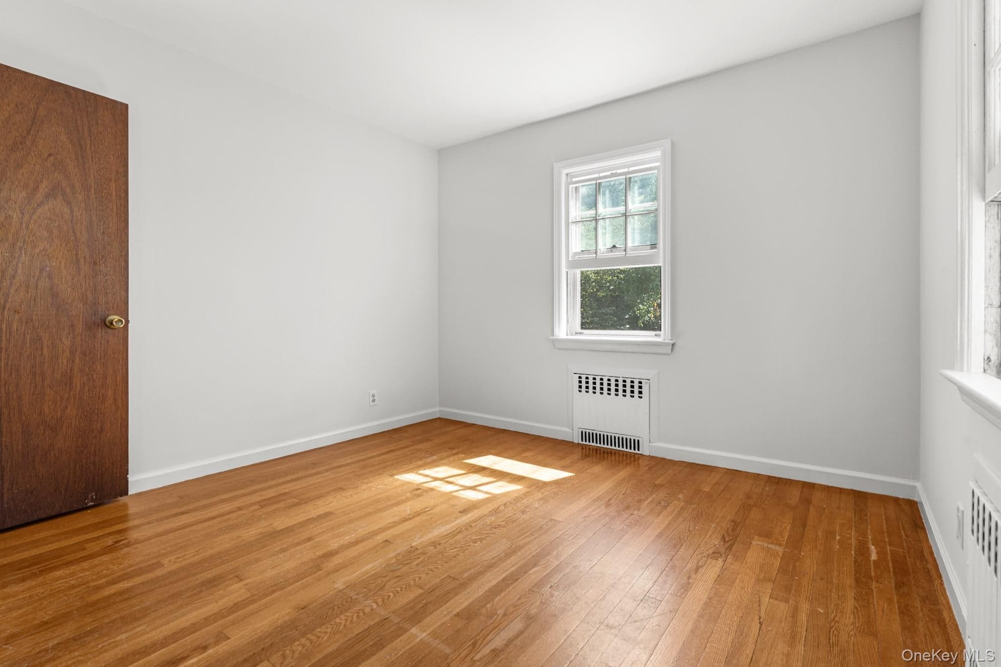 141 Homewood Avenue thumbnail 18
